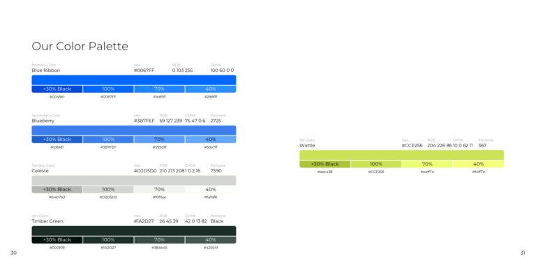 Behance Brand Book - Gingersauce